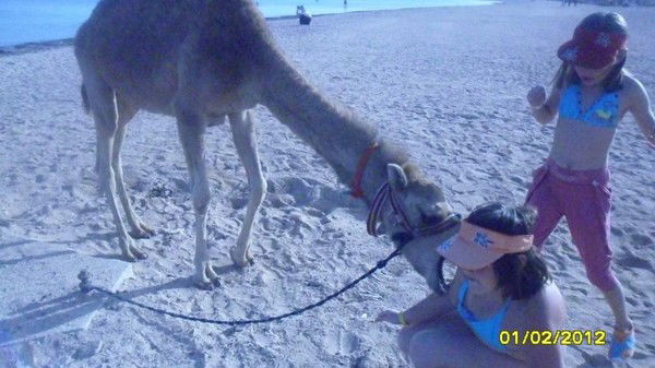 Шакирова Диана