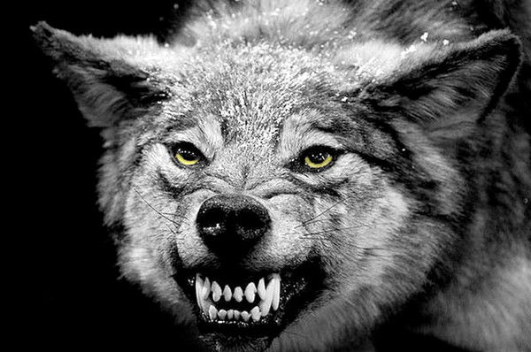 Абвгдейка А