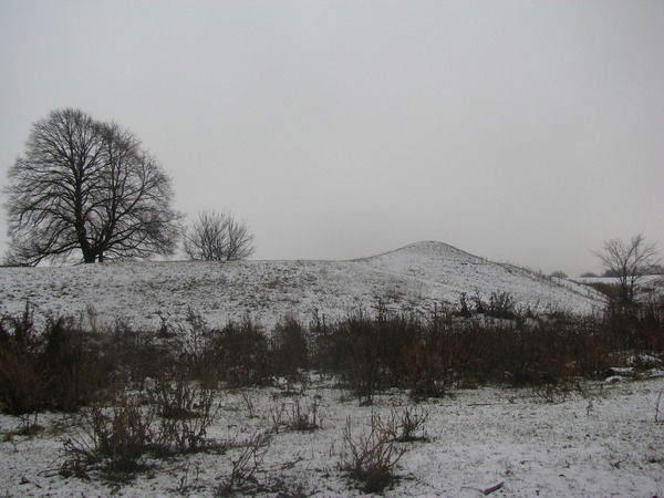 Елена Мельникова