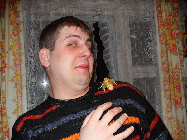 Андрей Удальцов