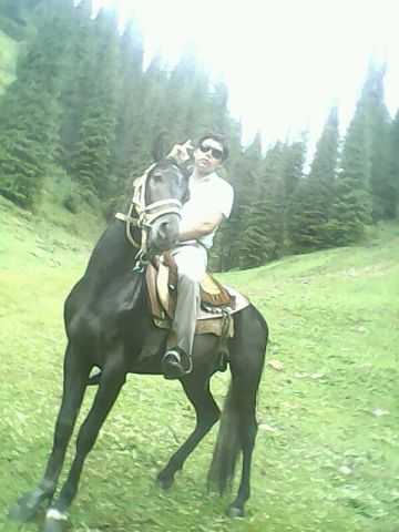 Алтынбек Талипов