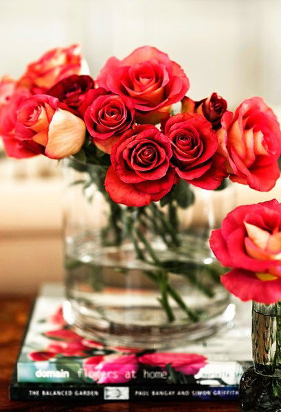 Анастасия Борисова