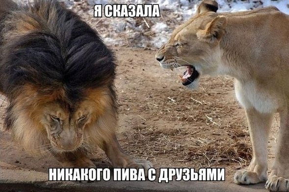 Галин Трофименко