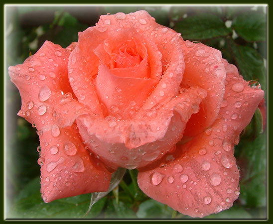 Татьяна Егорова