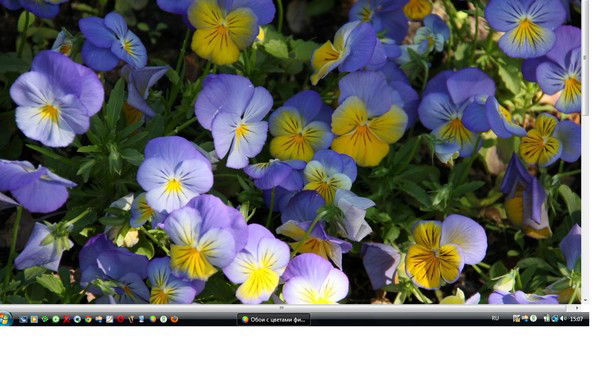 Иванова Анна