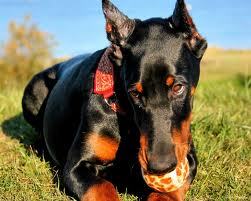 Карина Власова