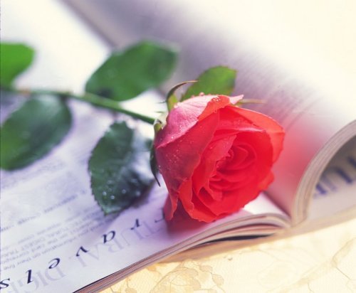 Татьяна Капанина