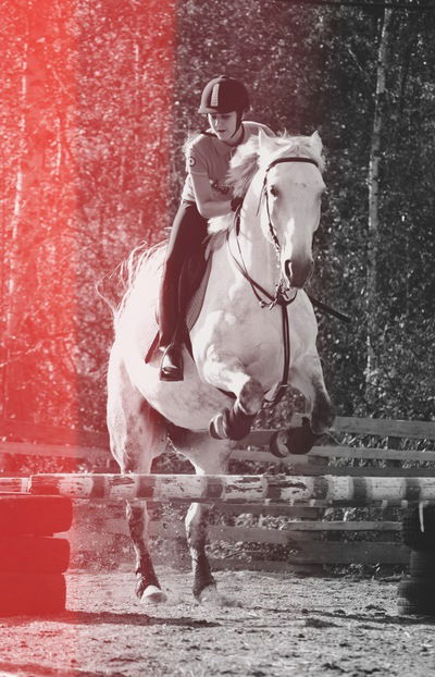 Карина Лулу