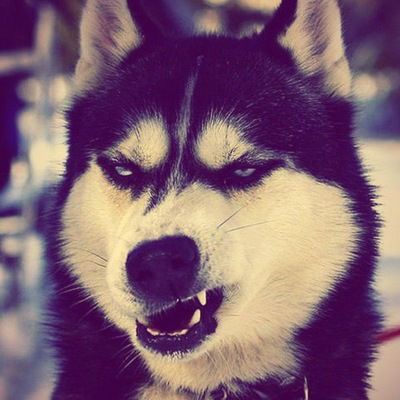 Аслан Куангалиев