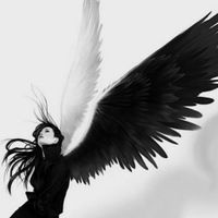 Анастасия Альшевская