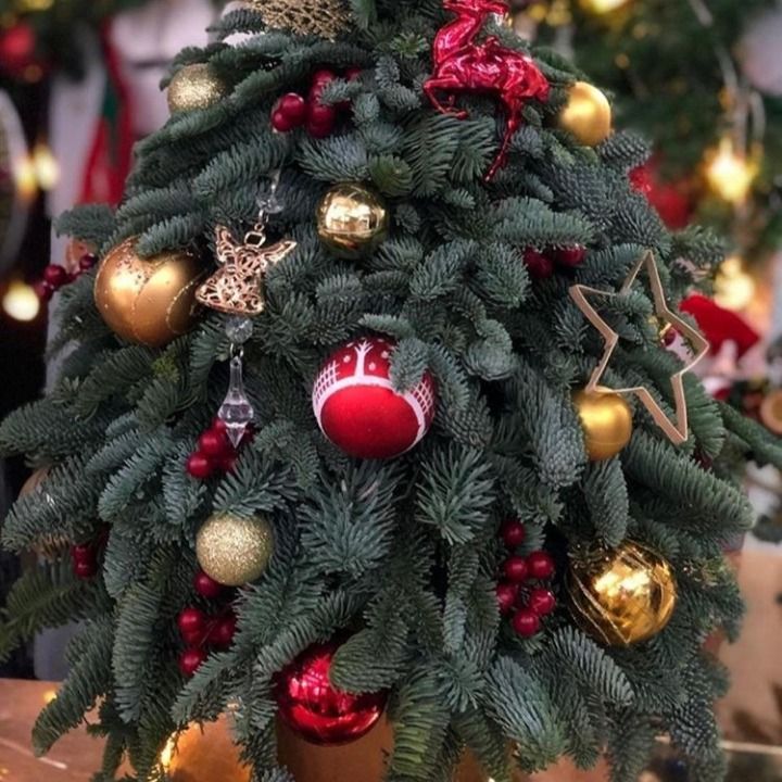 Анна Гаврилова