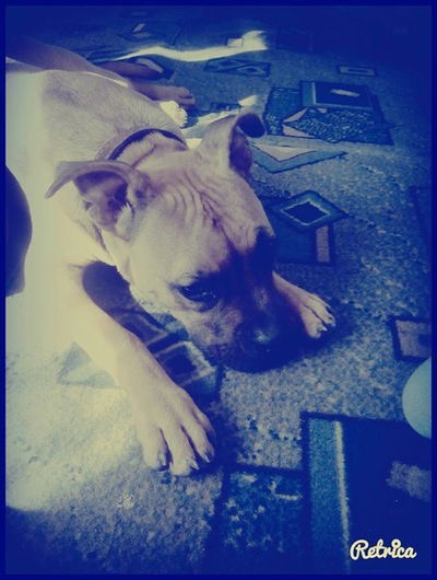 Настя Дукина