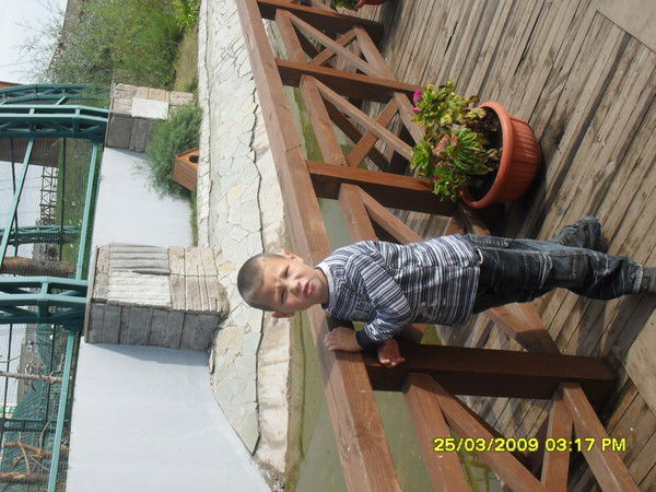 Елена Карнакова