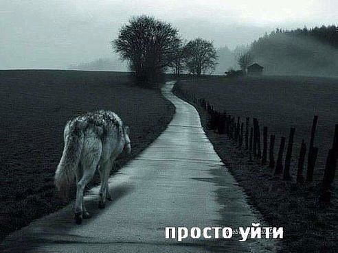 Руслан Борзенко