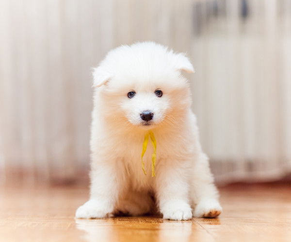 Андрей Козырь