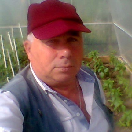 Александр Мельников