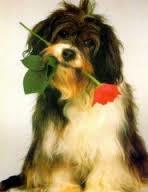 Наталья Мошнова