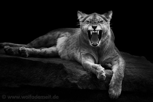 Владислав Ильин