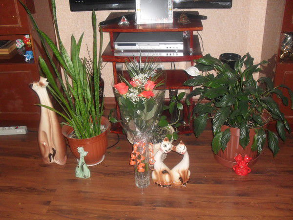 Надежда Ангелова