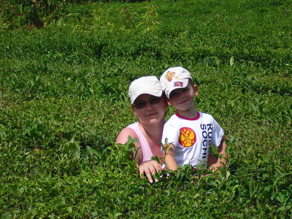 Алёна Смирнова