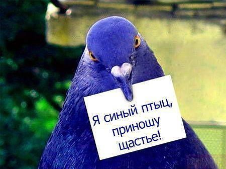 Нина Таманова