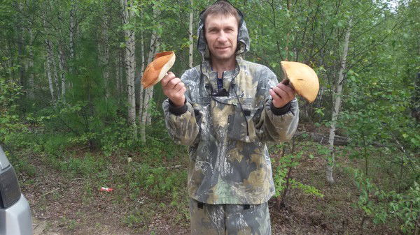 Курносов Алексей