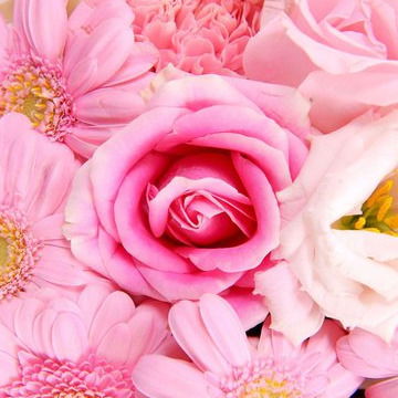 Ольга Слепцова