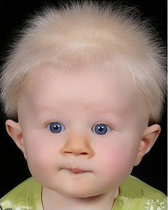 *~*~*сергей *~*~*