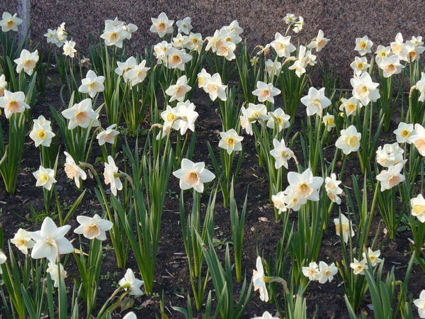 Виктория Самсоненко