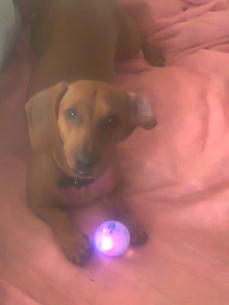 Тося Лебеденко