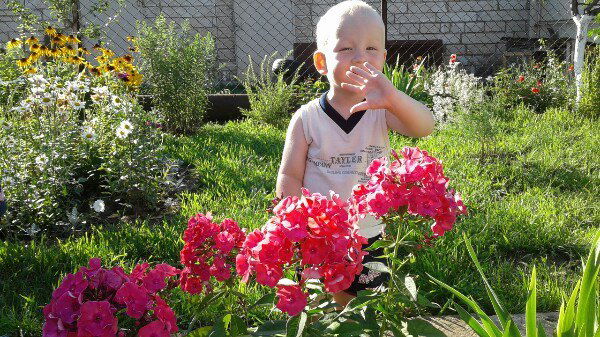 Григорьева Лана