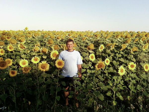 Евгений Емельянов