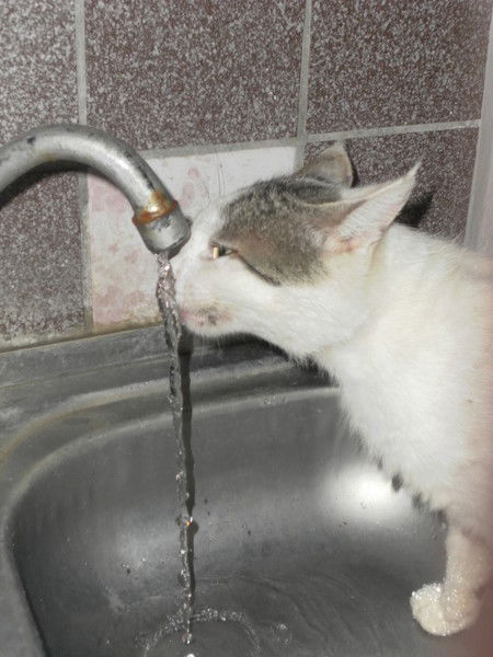 Игорь Федурко