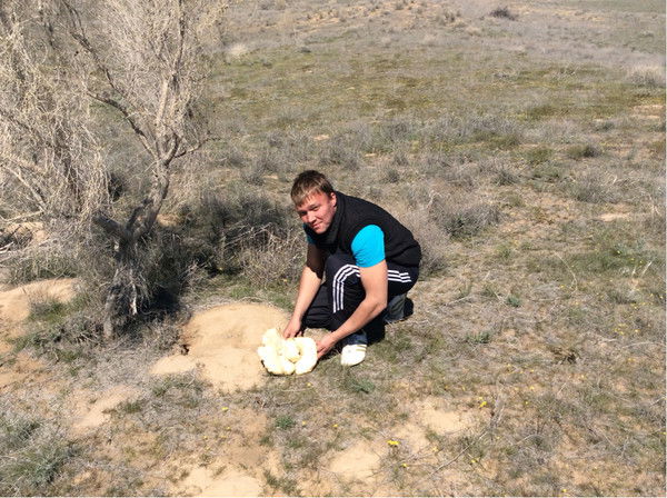 Владимир Азарьев