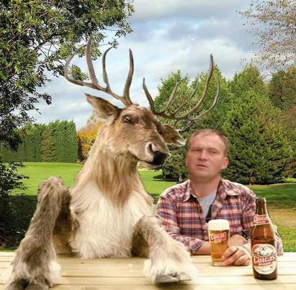 Дмитрий Завгородний