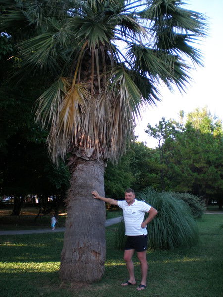 Алексей Баскаков