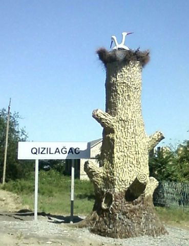 Шамиль Маммадов