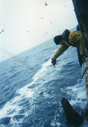 Konstantin Nikiforov