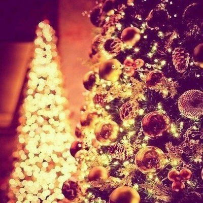 Людмила Николаева