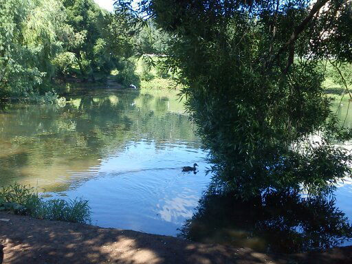 Настена Настенька