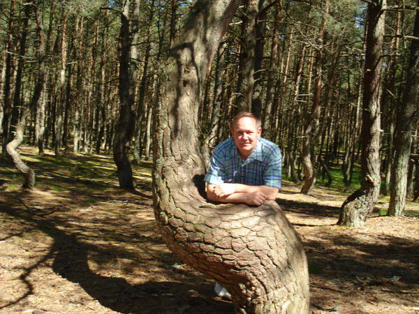 Сергей Грошев