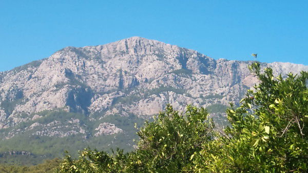 Константин Глухих