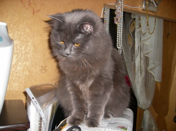 Оксана Маннапова