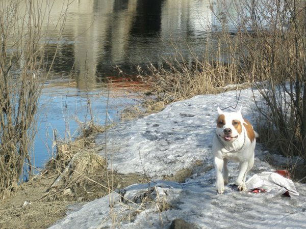 Валерий Бережной