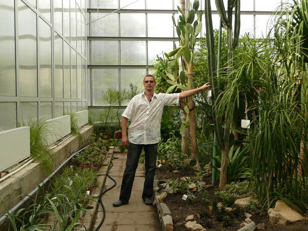 Денис Терентьев