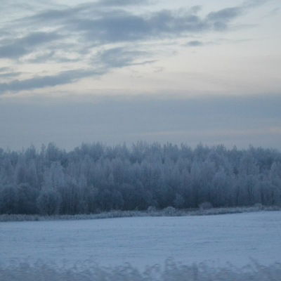 Максим Максимов