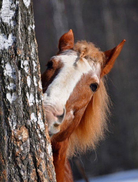 Oльга Бенек