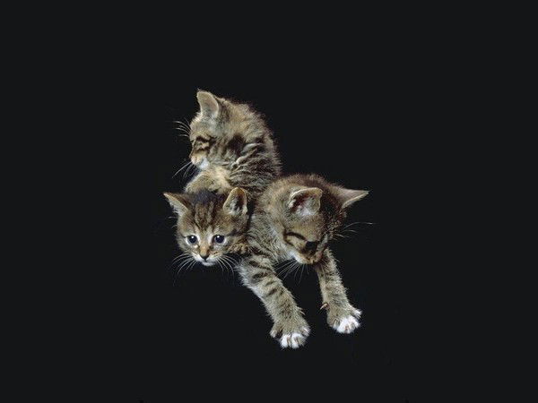 Вовановна ))))