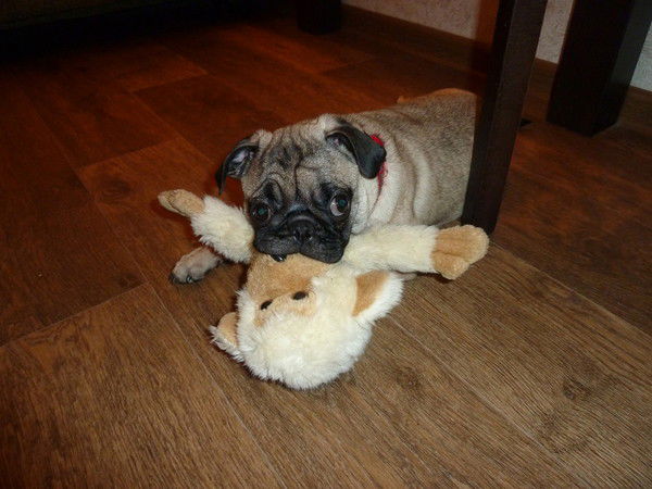 Светлана Кейль