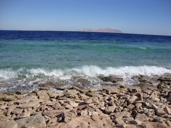 Владимир Жигунов